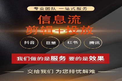 专业SEM运营托管服务案例分析